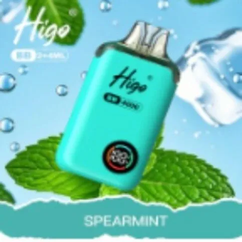 Higo BB 4000 Puffs Kit  Spearmint