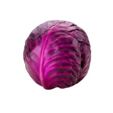 Jacks Red Cabbage